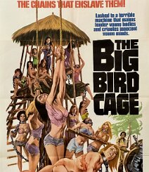 The Big Bird Cage Pam Grier stars in this 1972 release by Roger Corman's New World Pictures, preceding her breakthrough roles in Coffy and Foxy Brown . This is a folded, single...